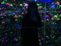 -迷斯伍德星空博物馆