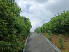 -潜山国家森林公园