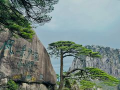 -黄山风景区