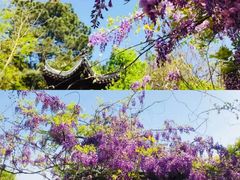 -苏州吴中太湖旅游区