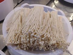 -龍歌自助小火锅(李沧顺和汇店)