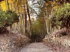 -乌石村