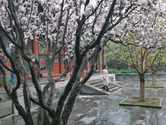 -颐和园