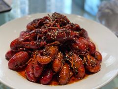 -三强鸽子(中原路店)