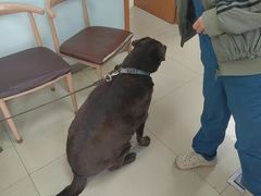 -宠福鑫动物医院(城北分院)