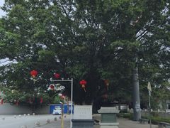 -资政大夫祠