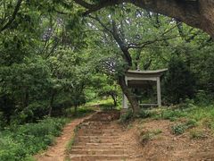 -龙寺生态园