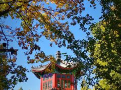 -宣武艺园