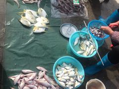 -霞涌市场海鲜摆卖区