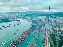 -天龙轩(香港丽思卡尔顿酒店)