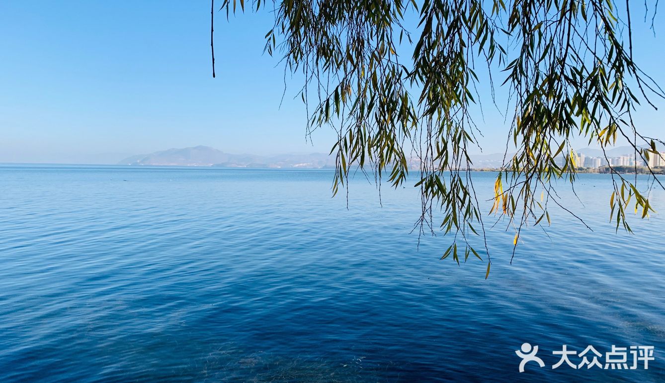 想和你在丽江的街头走一走