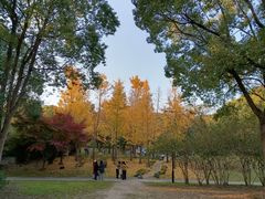 -宝界山林公园