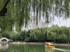 -团结湖公园