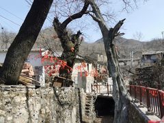 -水峪民俗村