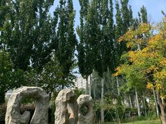 -廊坊文化艺术中心