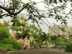 -深圳国际园林花卉博览园