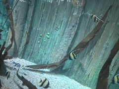 -沈阳海洋探索中心