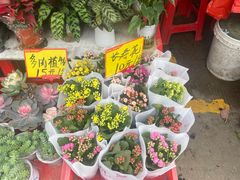 -细村农贸综合市场