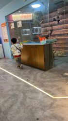 -神奇动物撸宠馆·羊驼·小浣熊·异宠(豫园店)