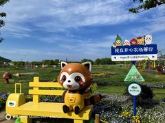 -苏州太湖西山岛开心农场