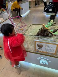 -小象动悟公园(龙湖亦庄天街店)