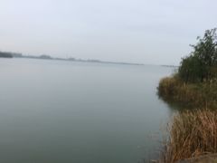 -漕湖湿地公园