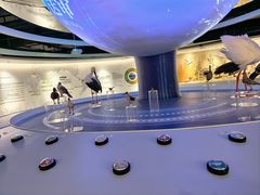 -盐城丹顶鹤湿地生态旅游区