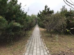 -1982农场