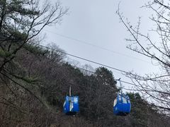 -朱雀国家森林公园