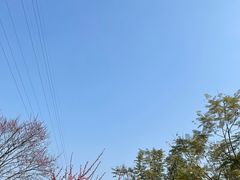 -重庆彩云湖湿地公园