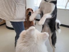 -共舞时光猫咖·狗咖(新街口店)