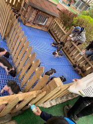 -萌宠亲子动物乐园(槐房万达店)