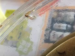 -天瑞福云南过桥米线(十里河店)