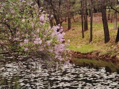 -承德避暑山庄景区