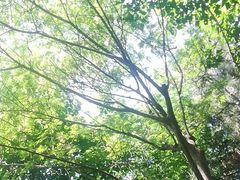 -洨河生态公园