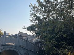 -金沙湖旅游度假区