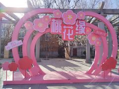 -桃花堤公园