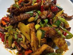 -柴窝堡22号辣子鸡·传承新疆菜