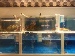 -金汤宴餐厅·粤菜(德云社店)