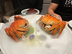 -金美华轩(东方路齐鲁店)