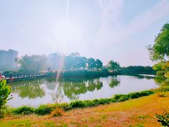 -SMP滑板公园