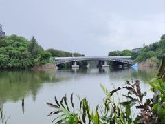 -华侨城湿地公园