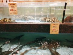 水产区-西贝海鲜汇(槐安路店)