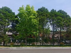 -鼎香润(什刹海德胜门店)