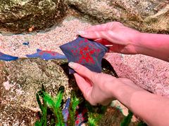 -沈阳海洋探索中心