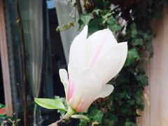 -新竹里馆·花园餐厅(兴苑路店)