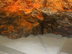 -湖南省地质博物馆