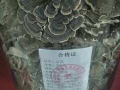 -北京同仁堂中医馆(宁波店)