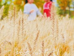 -汉长安城未央宫国家考古遗址公园