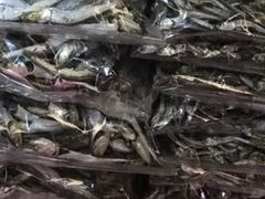 -崇光百货(铜锣湾店)